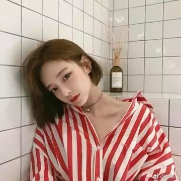 拜访森林